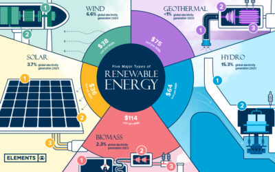 A Surge in Renewable Energy Capacity Signals Hope for a Sustainable Future 