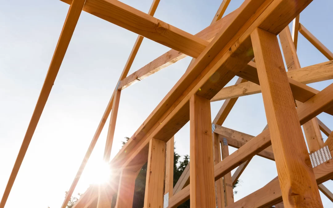 Building a Greener Future: The Role of Wood in Sustainable Construction